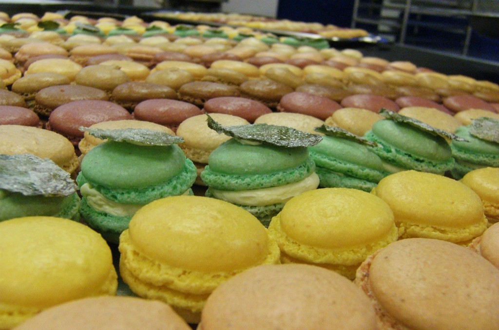 France Macarons - 1 (1024x676)