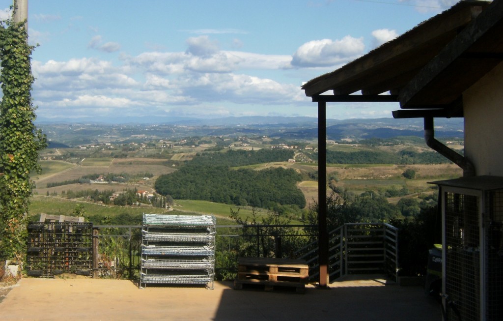 Italy - San Gimignano - Cesani - 3 (1280x816)