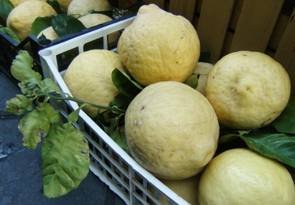 Italy - Sorrento - Lemons