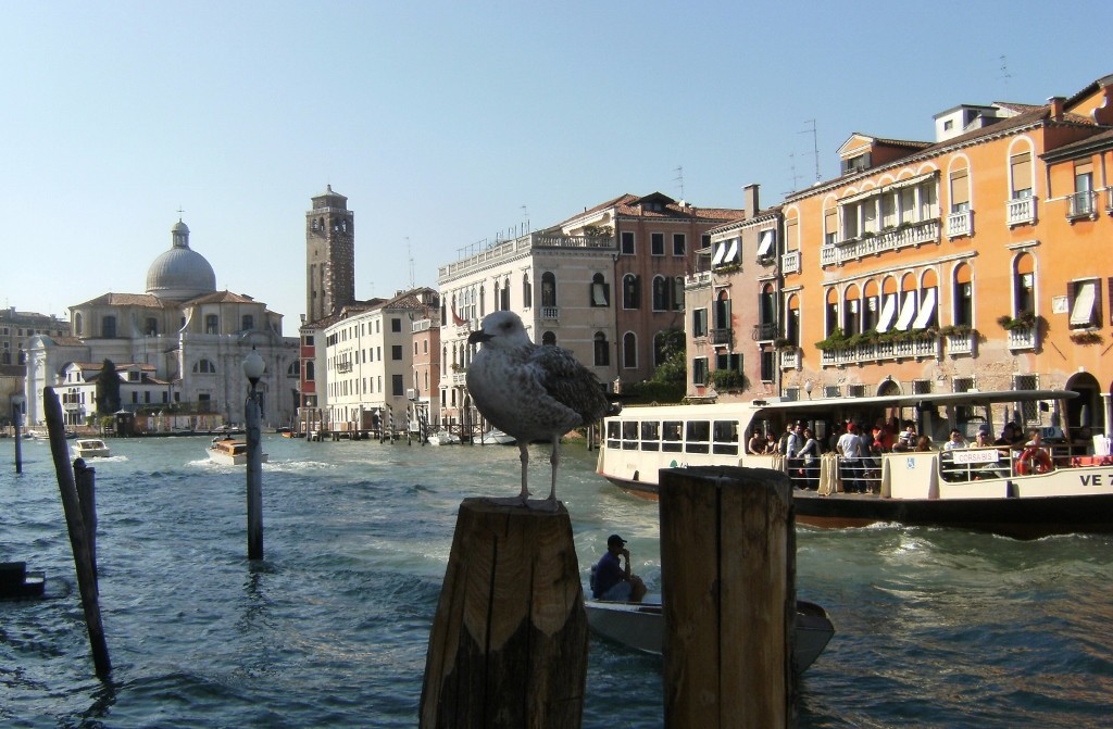 Italy - Venice - Grand Canal - 4 (1024x671)