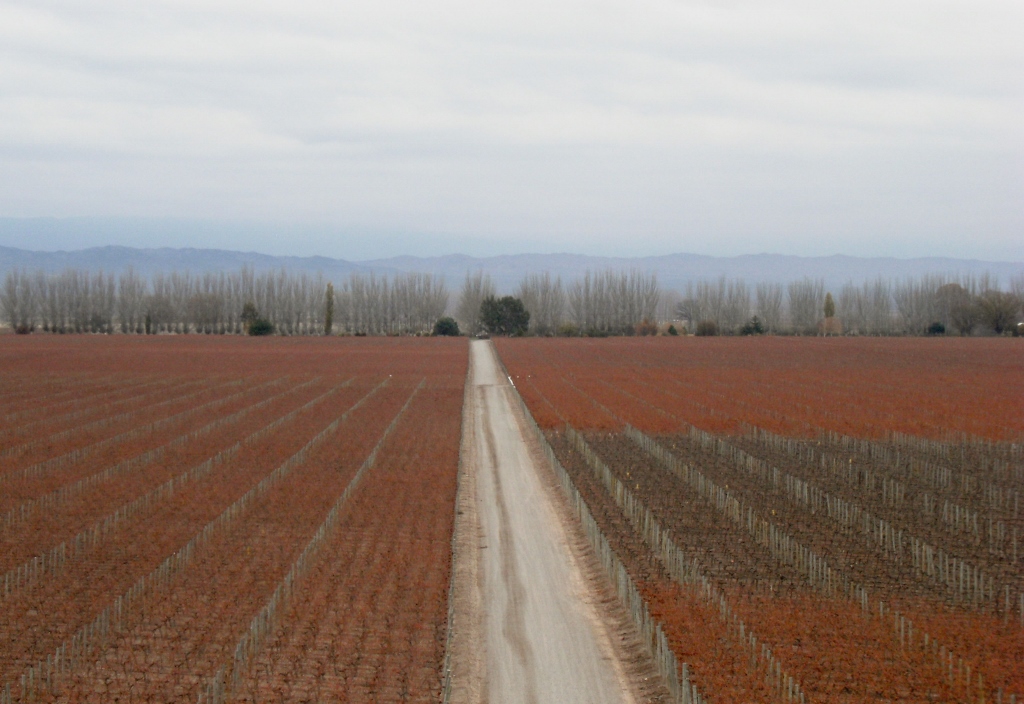 Argentina - Mendoza - Catena Zapata - 9 (1024x704)