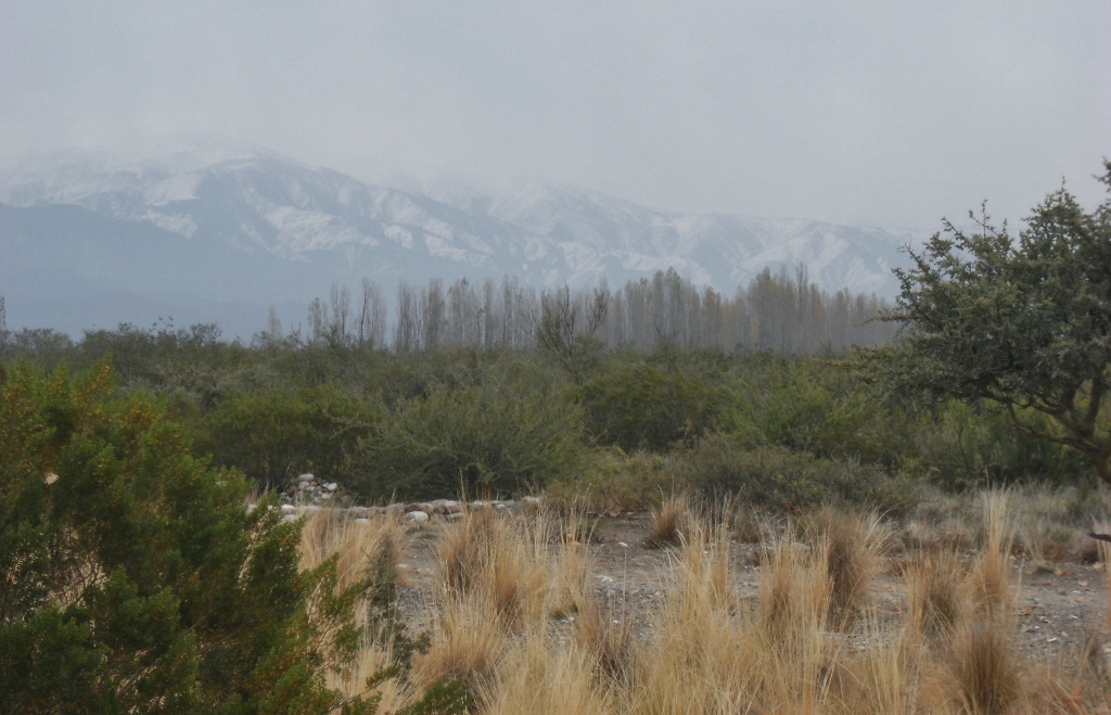 Argentina - Mendoza - Salentein - 2 (1024x659)