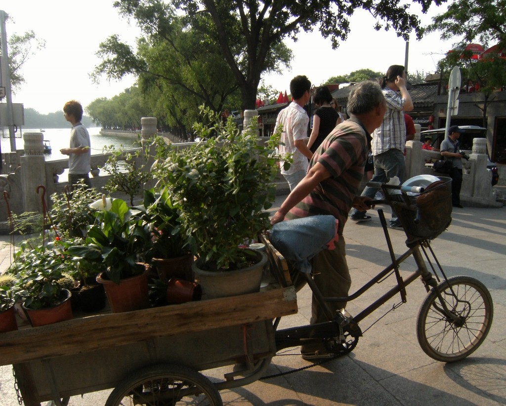 China - Beijing - Street Vendor - 2 (1024x822)