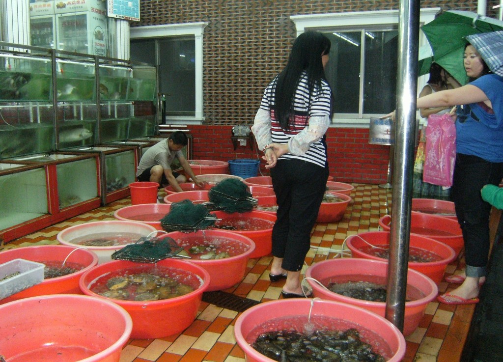 China - Gulangyu Island - Seafood - 1 (1024x737)