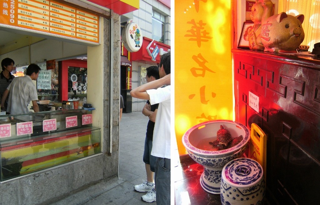 China - Shanghai - Turtle Restaurant - 1.1 (1024x656)